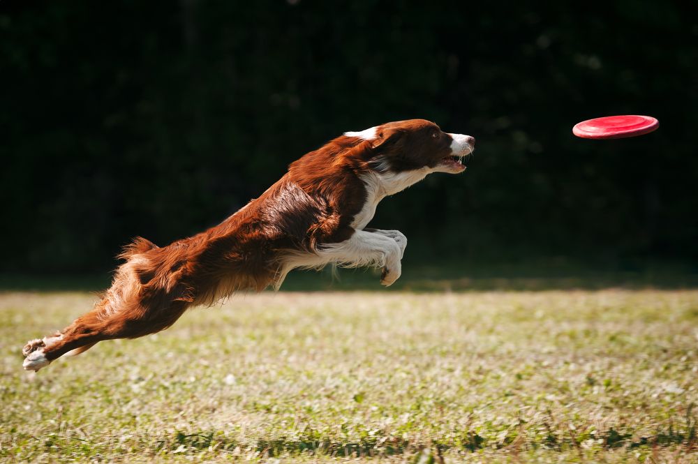 Photograph by Анна Титова