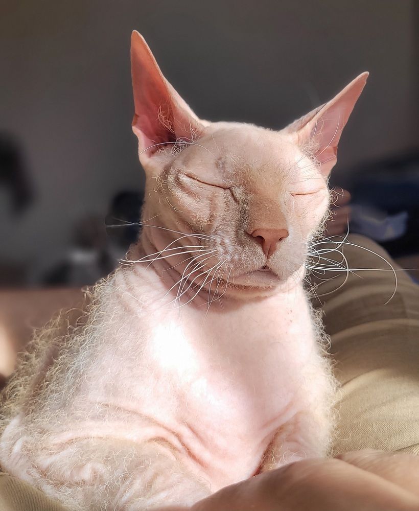 Photograph by Дерезюк Юрий Александрович