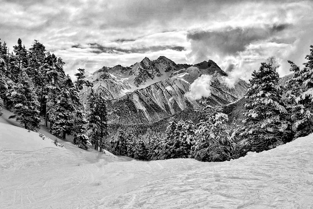 Фотография автора Евгения Никишина