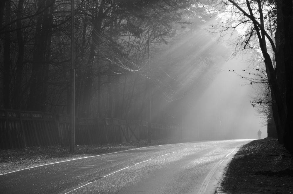 Photograph by Ольга Заповедная