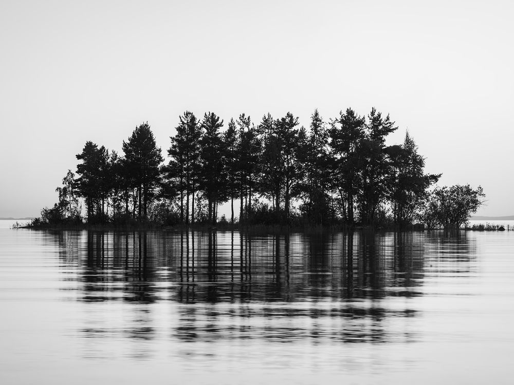 Photograph by Олег Милеев (Каминцев)