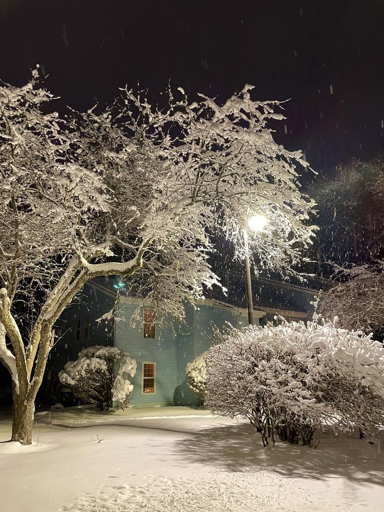 Фотография автора Olga Andriuc