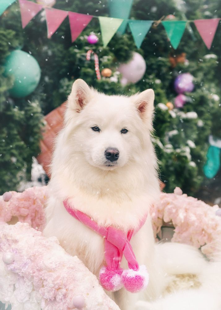 Photograph by Ольга Лобачёва