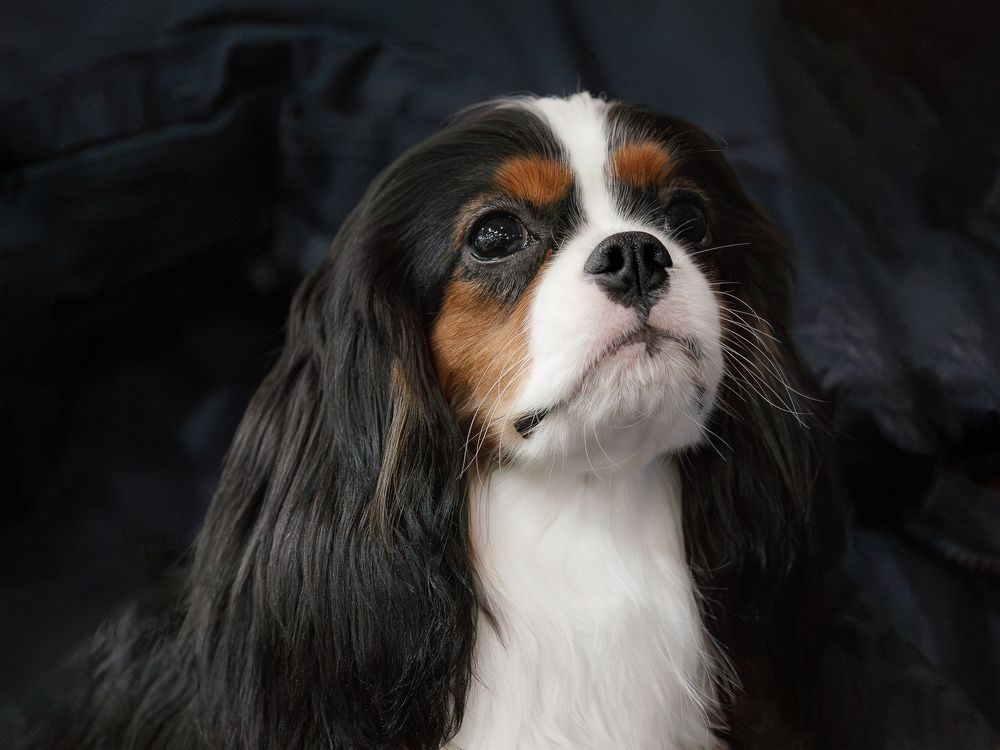 Photograph by Людмила Бандурина