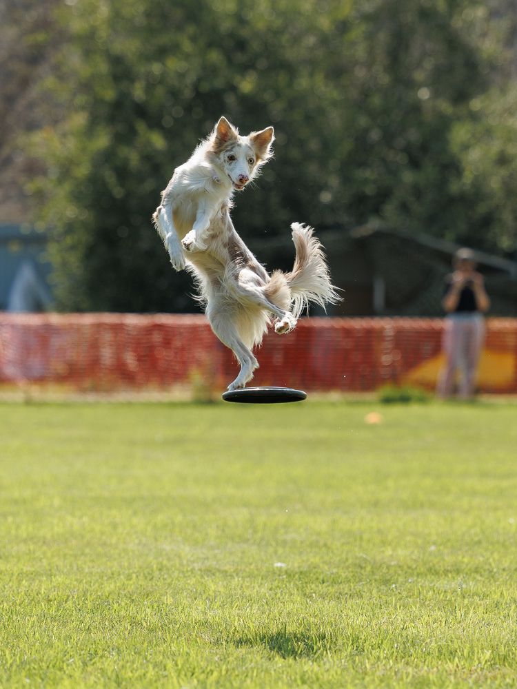 Photograph by Илья Юфа