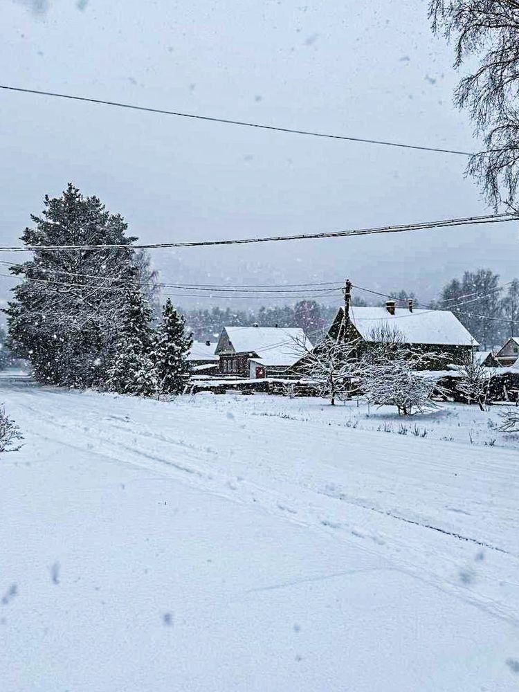 Фотография автора Дарья Новгородцева