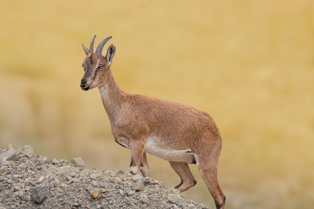 Photograph by Mehrsa Beigi