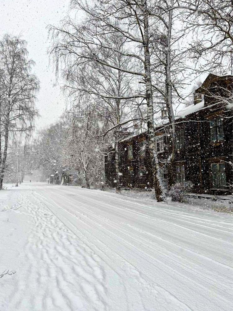 Фотография автора Дарья Новгородцева