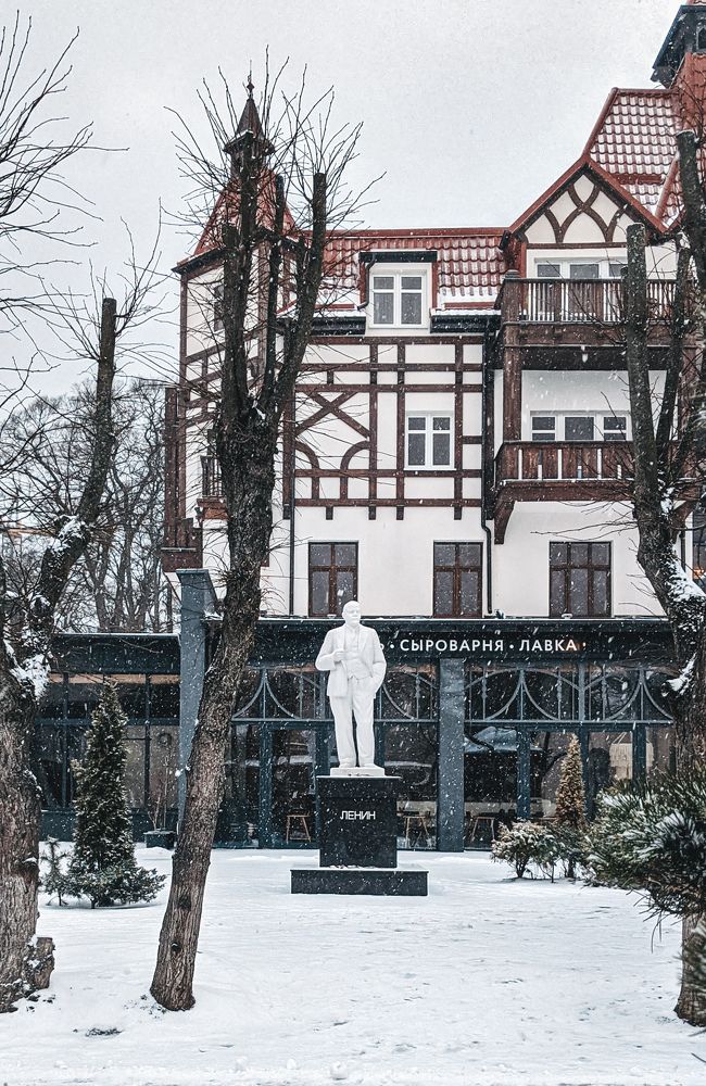 Фотография автора Ксения Шляйхер