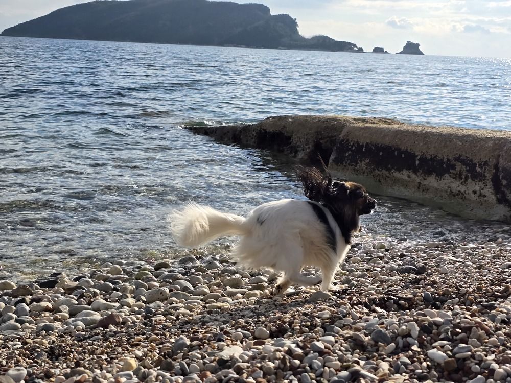 Photograph by Anna Zelinskaya