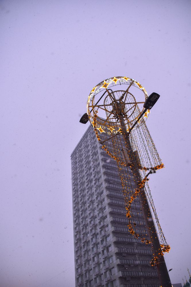 Photograph by Elvira