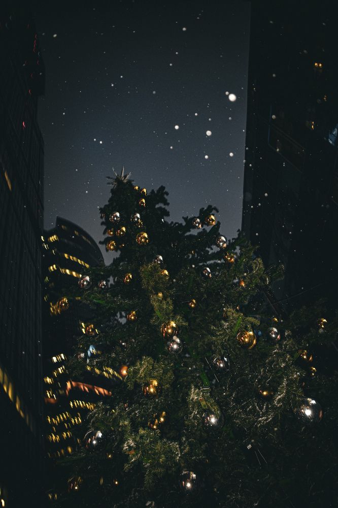 Photograph by Elvira