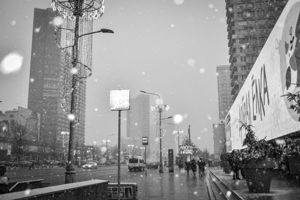 Photograph by Elvira