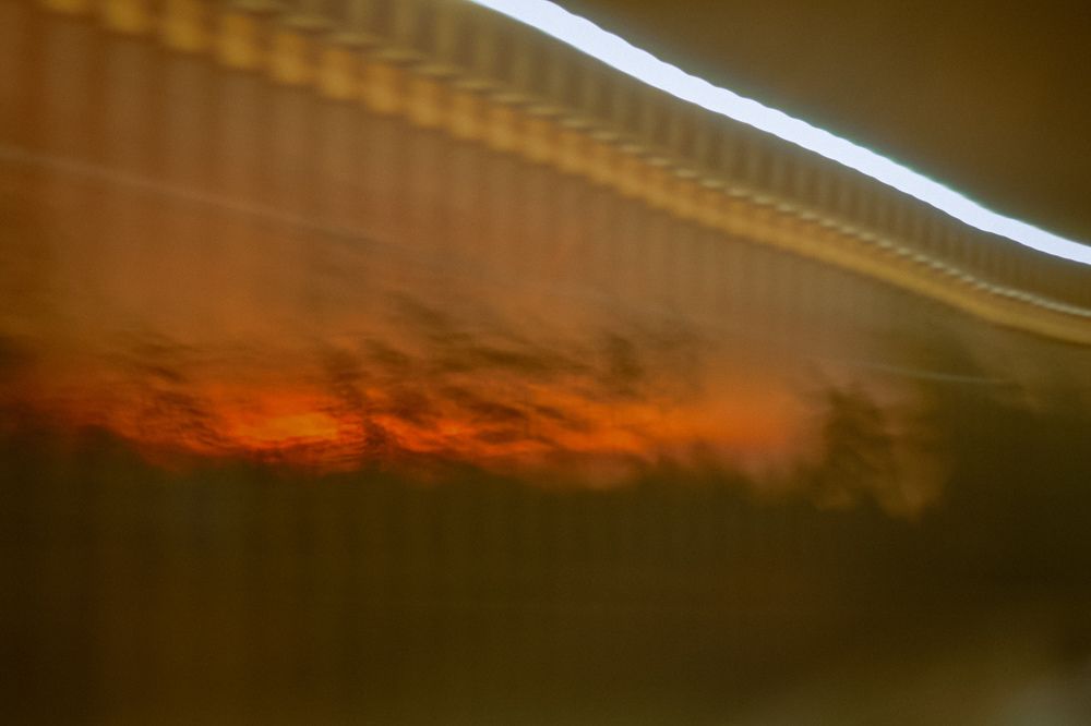 Photograph by Elvira