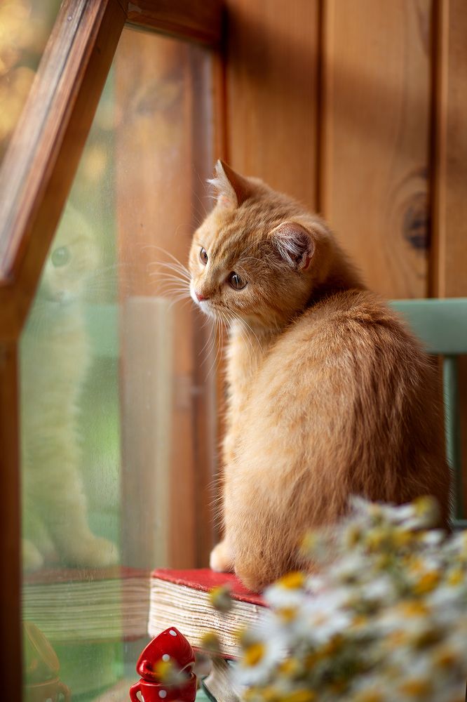 Photograph by ИРИНА ГОРЮКИНА