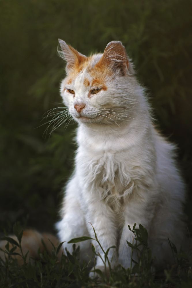 Photograph by Анна Дубинина