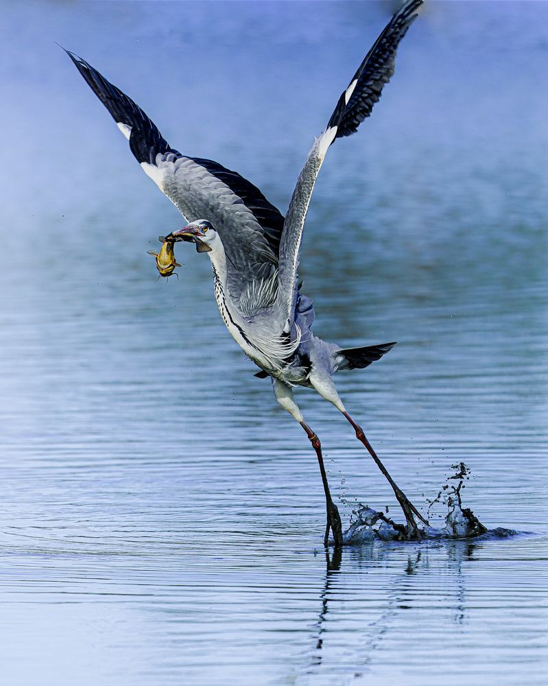 A moment when luck is with you