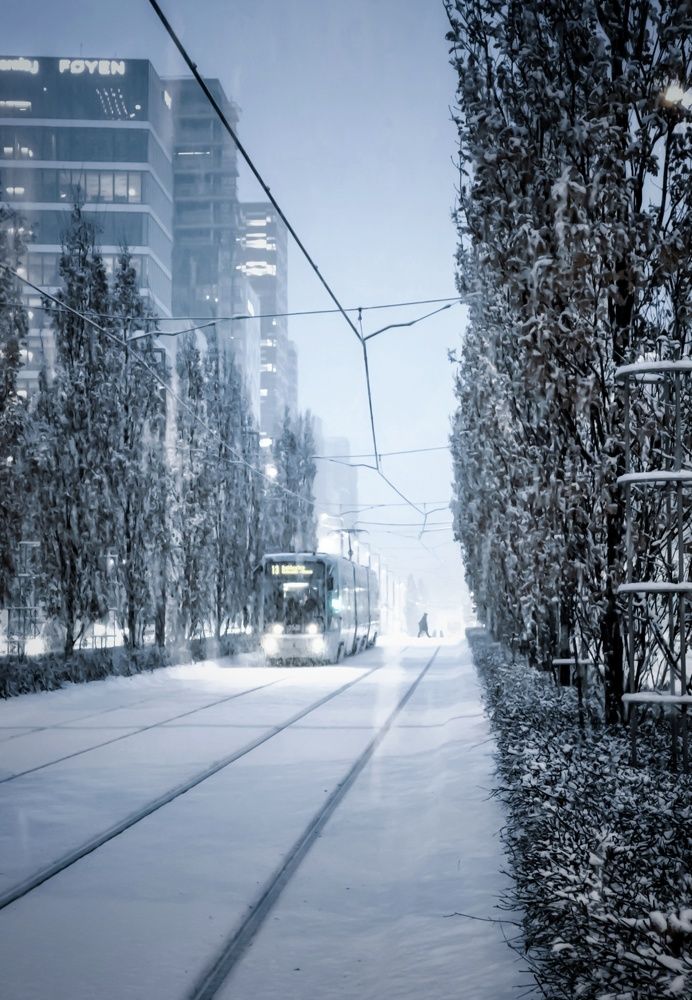 Фотография автора Alina Filimonova