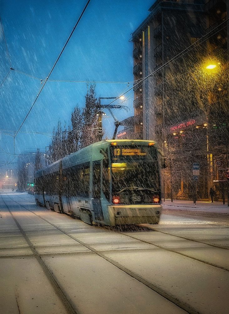 Фотография автора Alina Filimonova