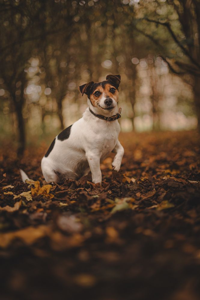 Photograph by Aga Kucinska