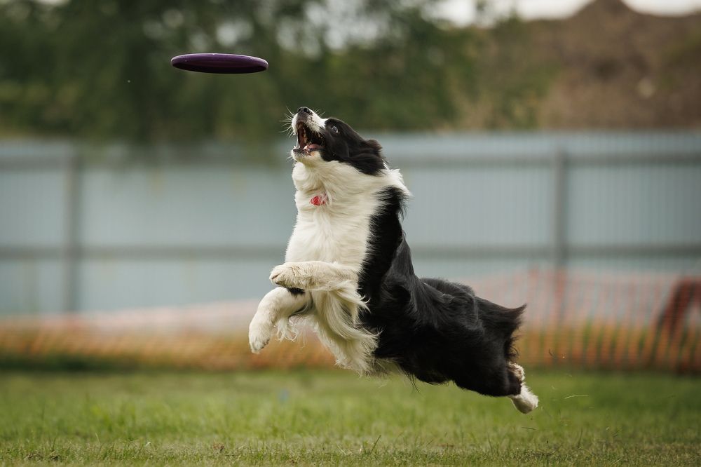 Photograph by Илья Юфа