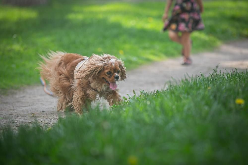 Photograph by Очева Наталья Александровна