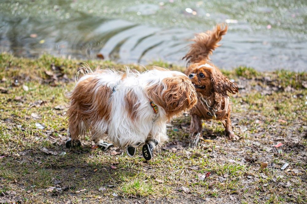 Photograph by Очева Наталья Александровна
