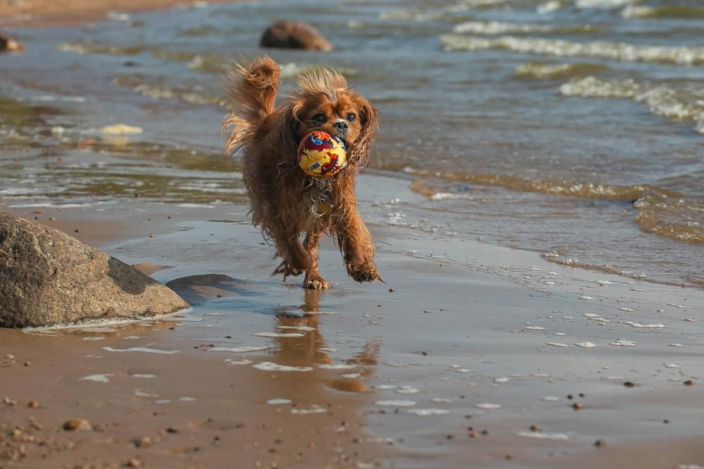 Photograph by Очева Наталья Александровна