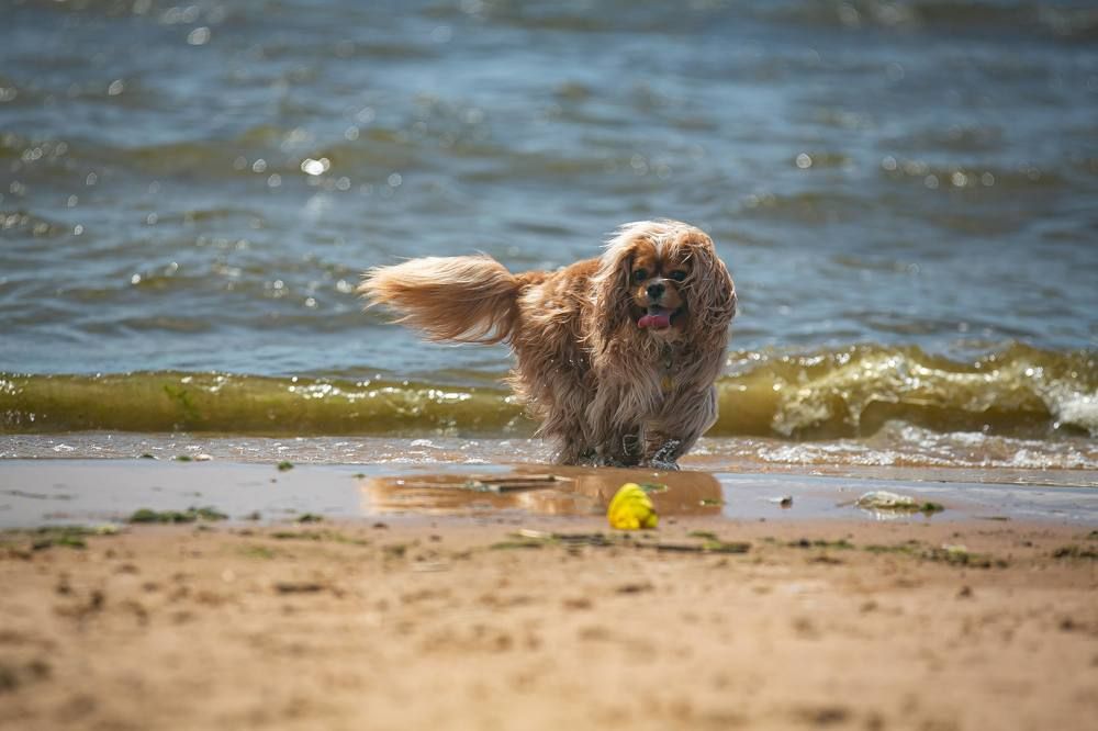 Photograph by Очева Наталья Александровна