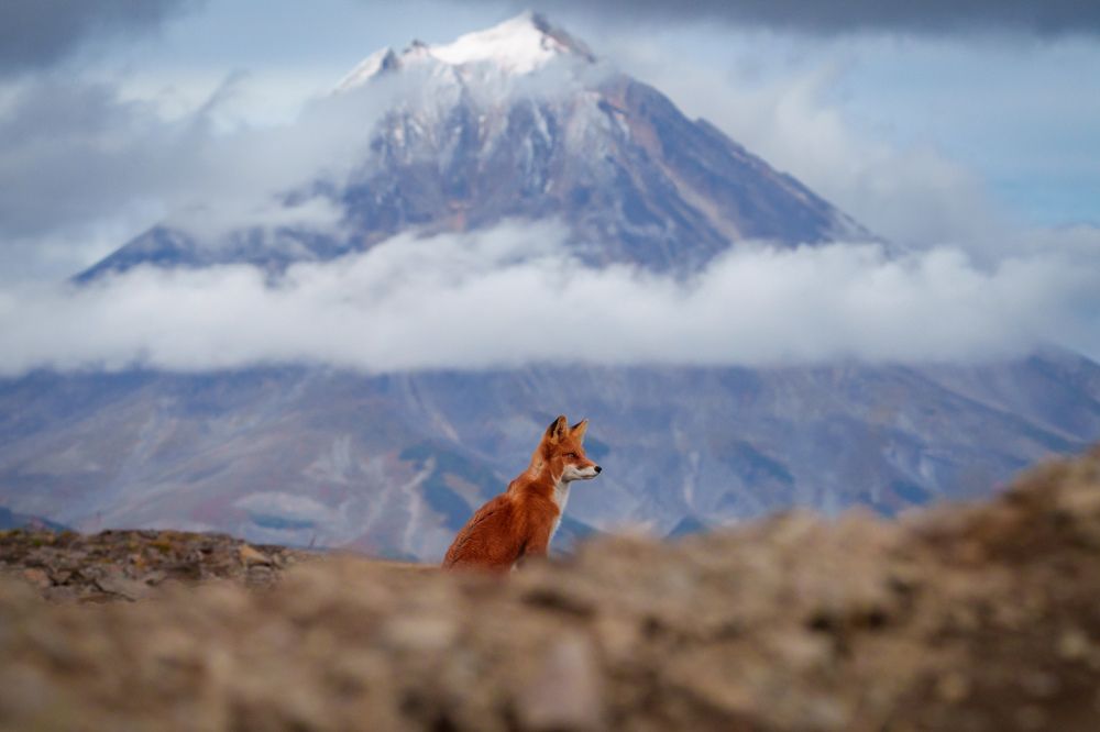 Photograph by Труханов Илья