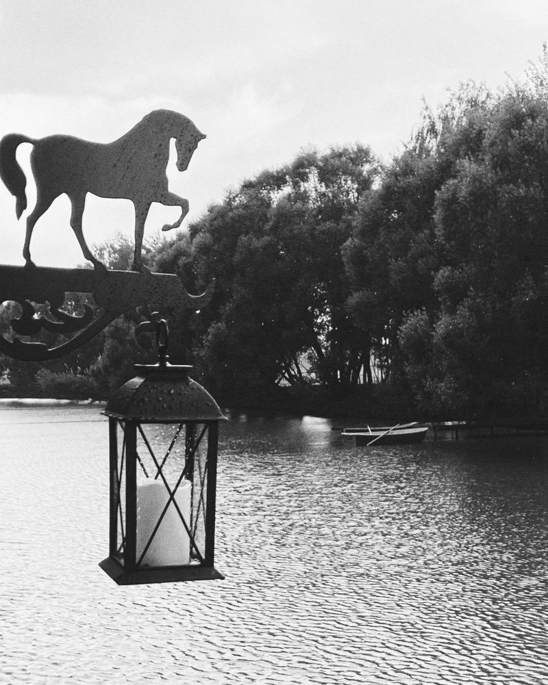 Photograph by Polina Murtseva