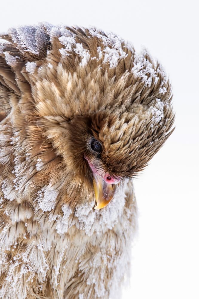 Фотография автора Edgardo Cardenas