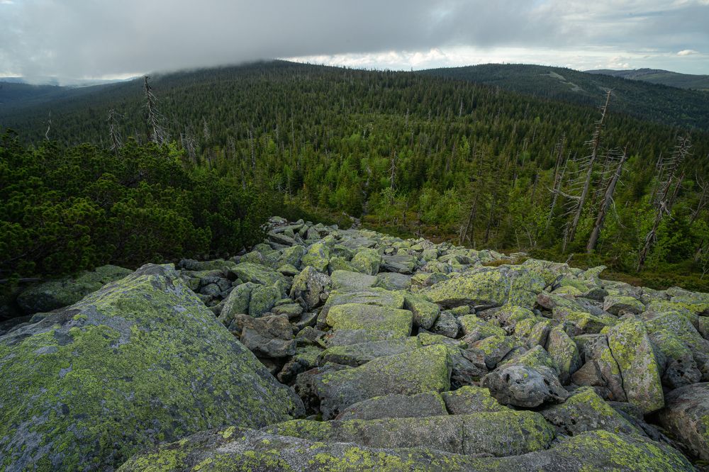 Photograph by Jan Vacek