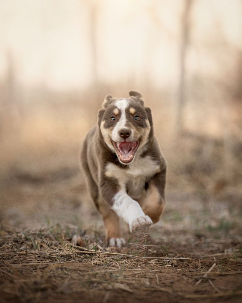 Photograph by Angie Perisse