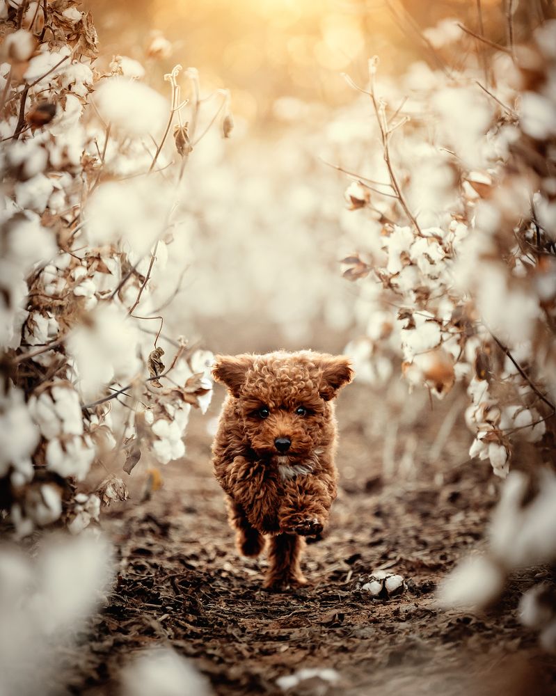 Photograph by Angie Perisse