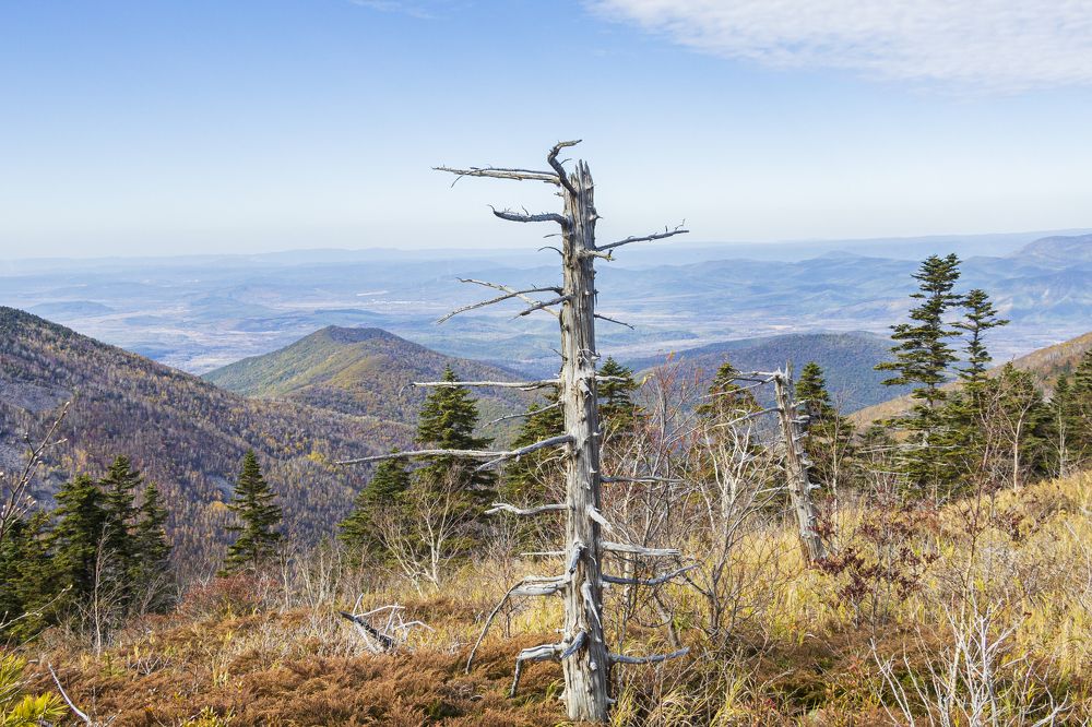 Photograph by Sergey Tsubanov