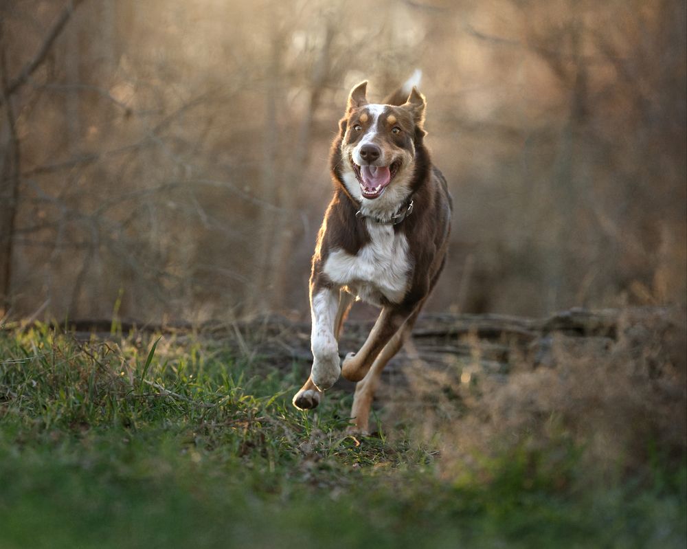 Photograph by Angie Perisse