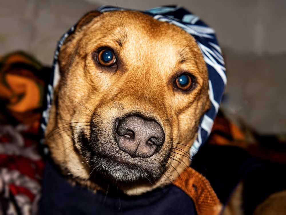 Фотография автора savitri Rawat