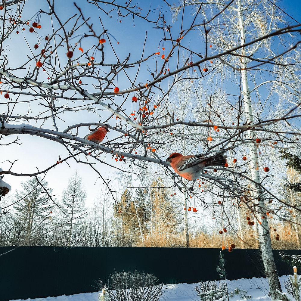 Photograph by Ellina Ksendzyuk