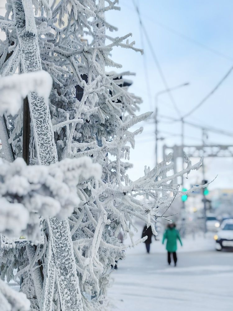 Photograph by OLGA MIKHNEVICH