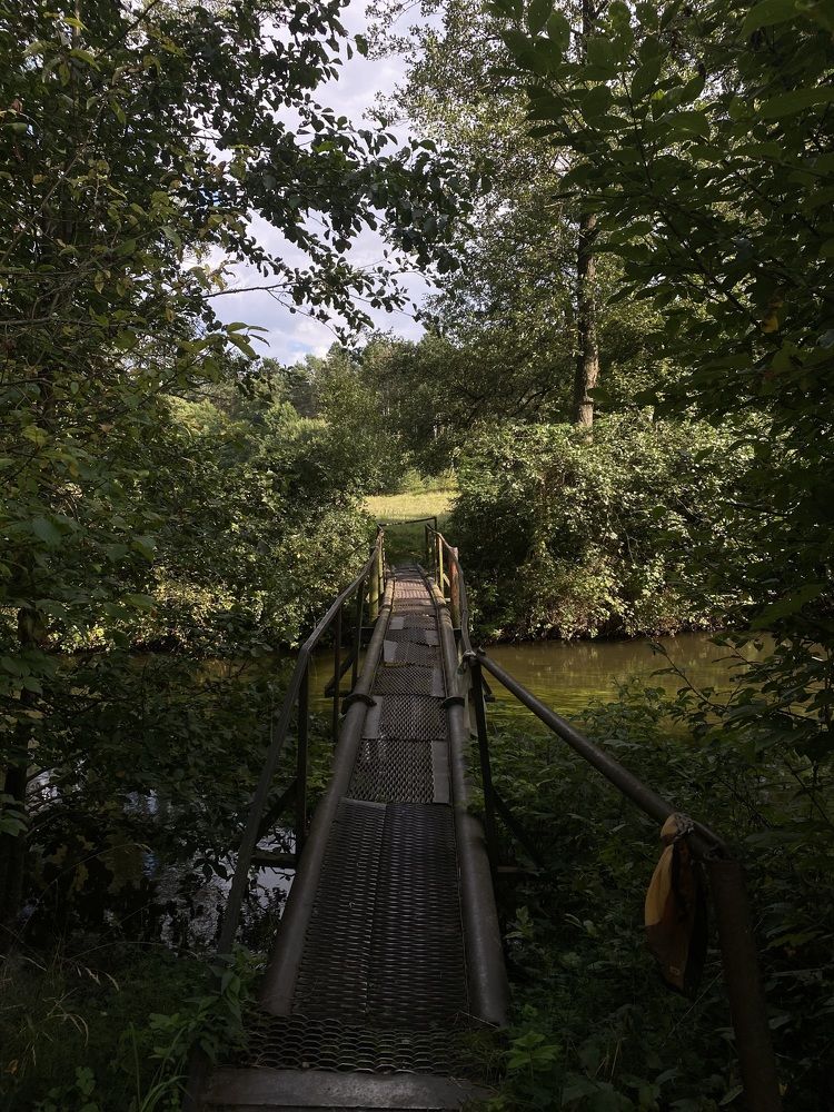 Фотография автора Анастасия Мешкова