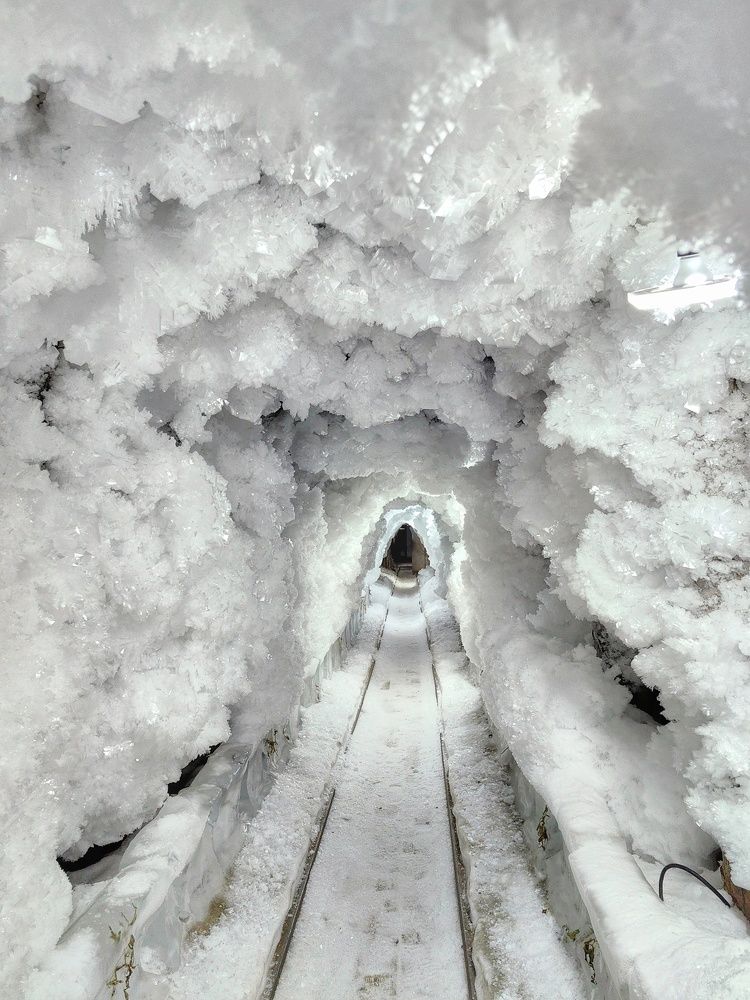 Photograph by OLGA MIKHNEVICH