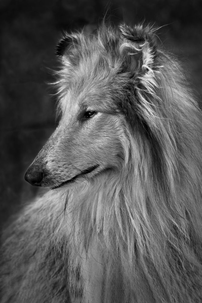 Photograph by Гагик Мхитарян