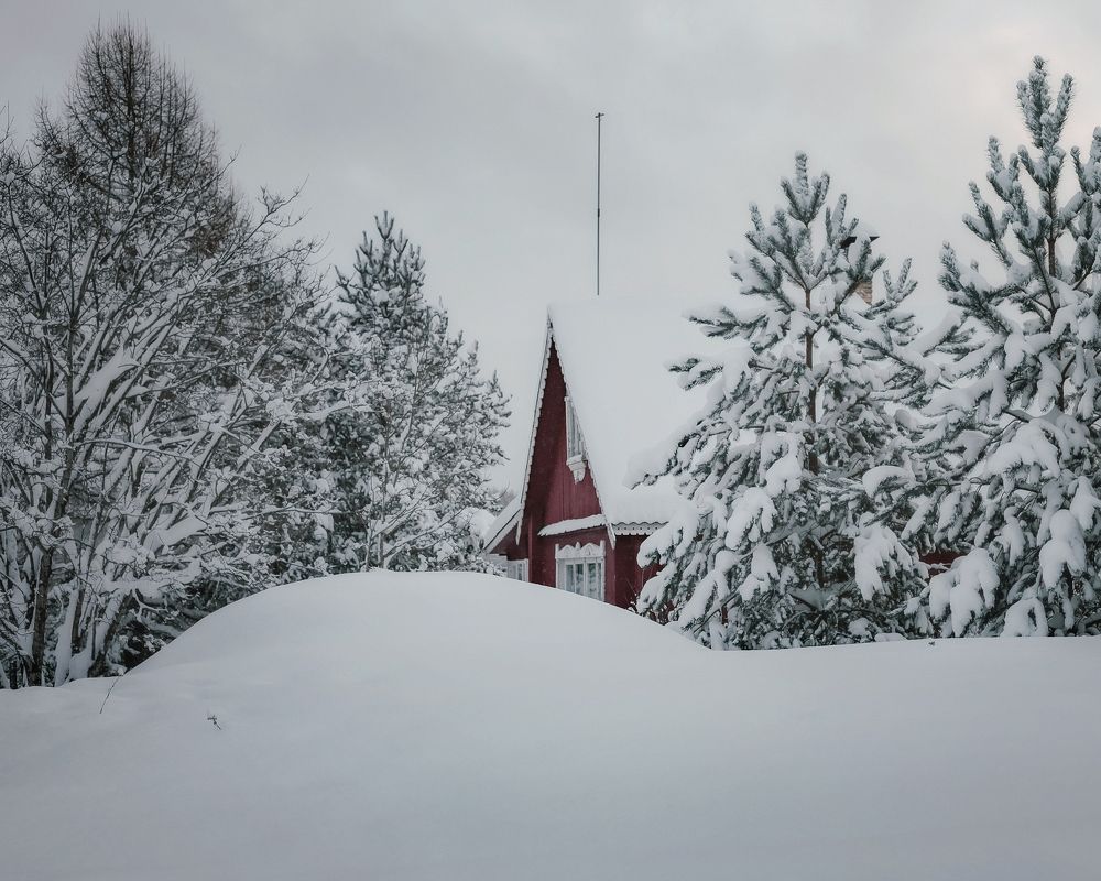 Photograph by Tatsiana Sialiuk