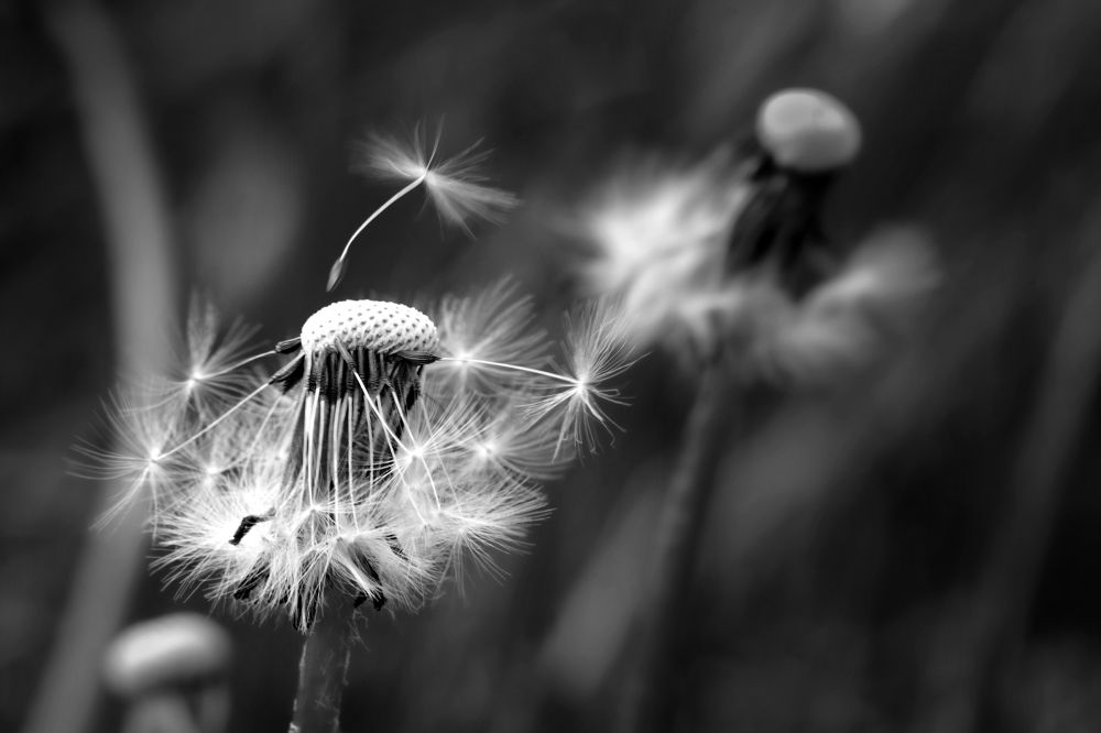 Фотография автора Edgardo Cardenas