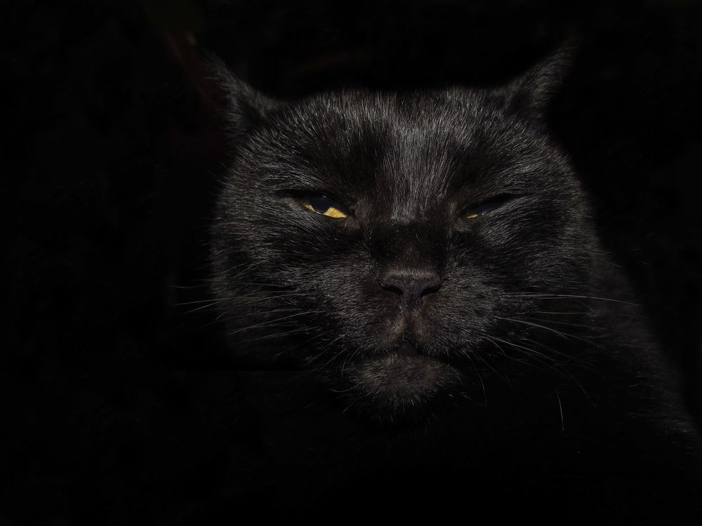 Photograph by Анастасия Пухова