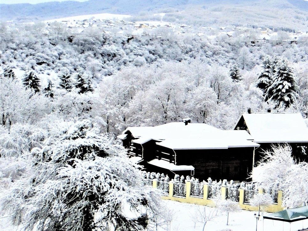 Photograph by Галина