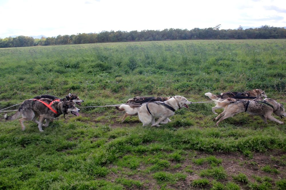 Photograph by Olga Bagaeva