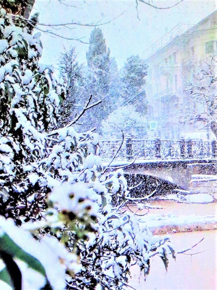 Photograph by Галина