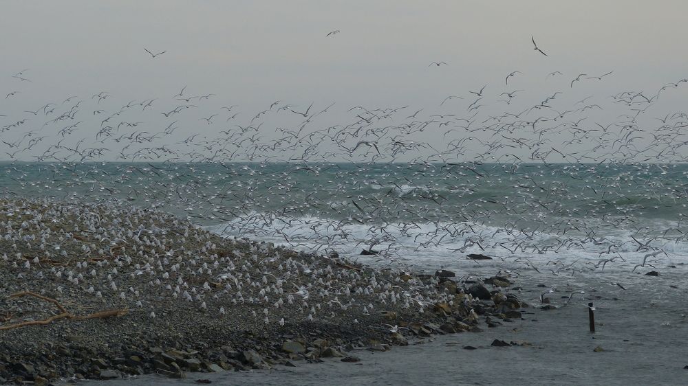 Photograph by Ольга